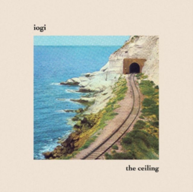Iogi