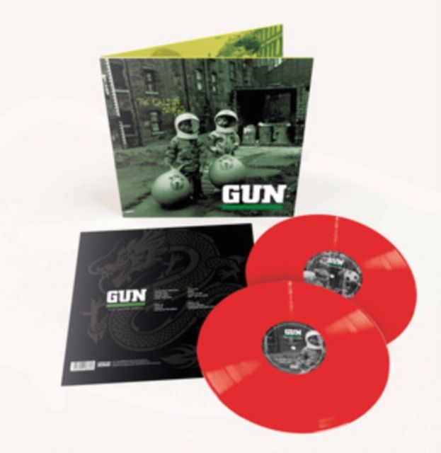 Gun