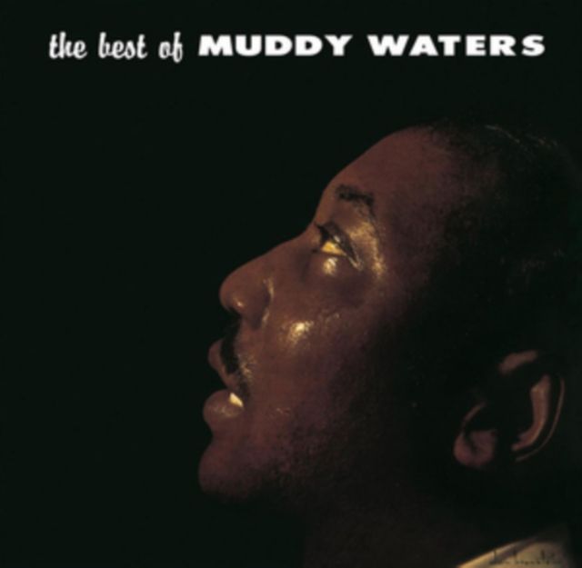 Muddy Waters