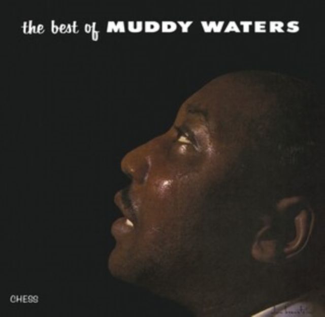 Muddy Waters