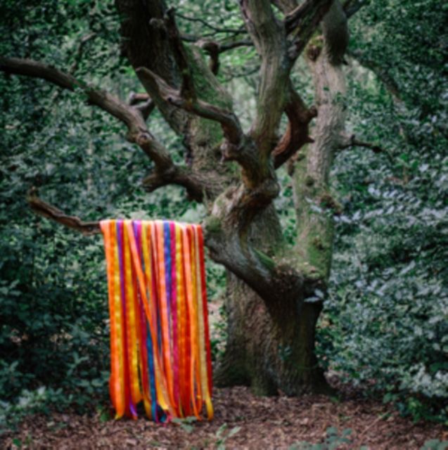 James Holden & The Animal Spirits
