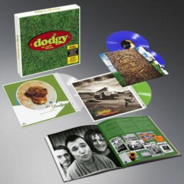 Dodgy