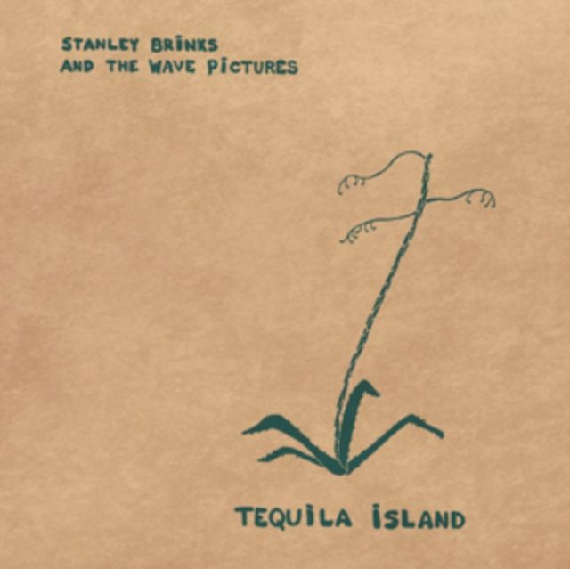 Stanley Brinks And The Wave Pictures