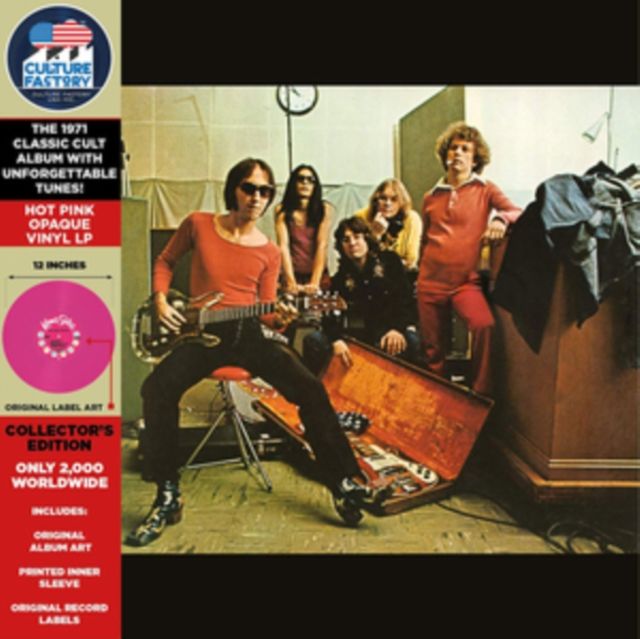 Flamin Groovies