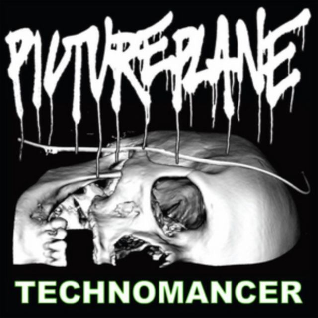 Pictureplane