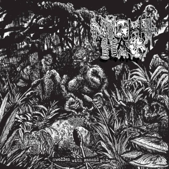 Cryptic Brood & Night Hag