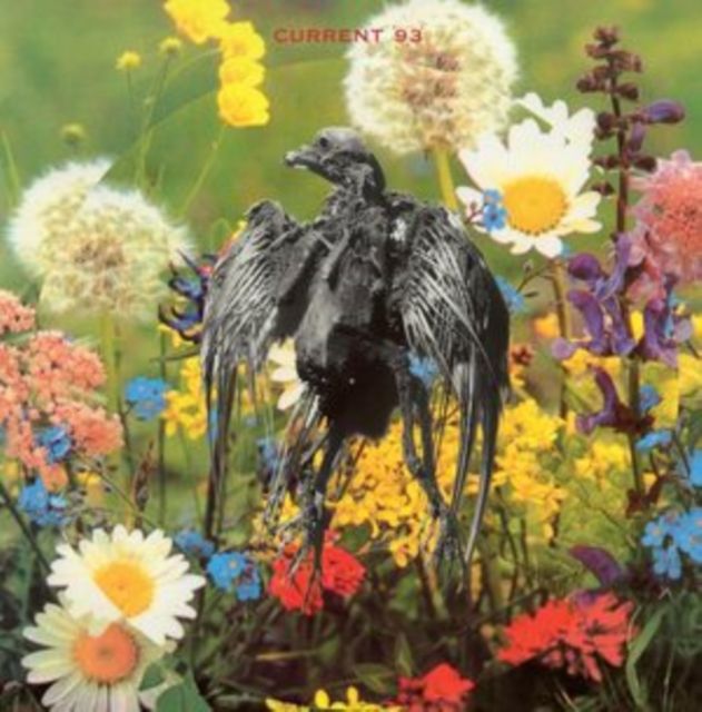 Current 93