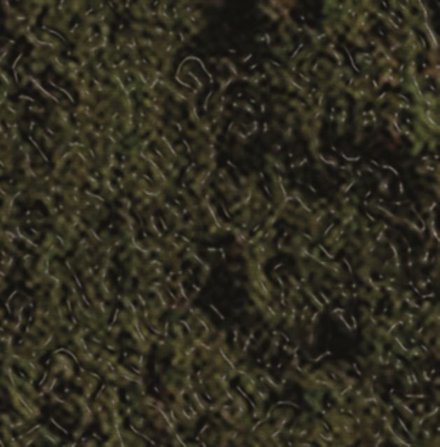 Swamp Harbour (Stinkin Slumrok & Bisk)