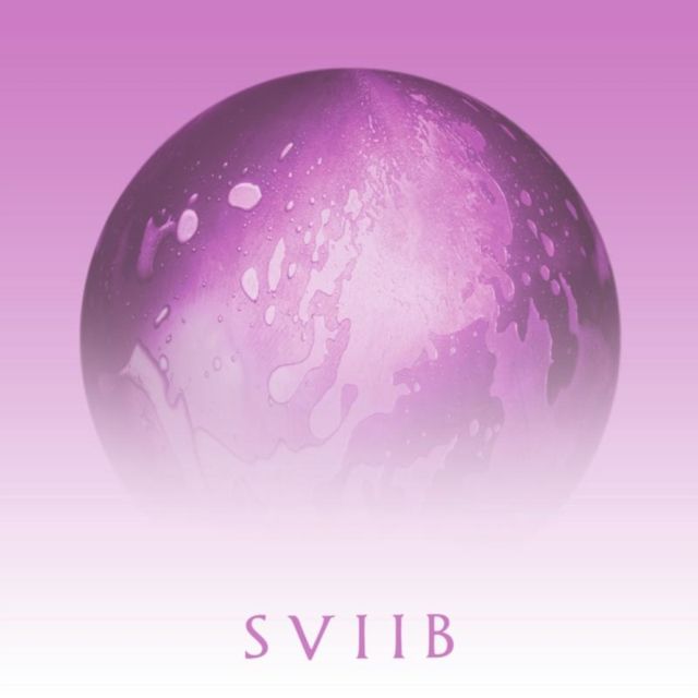 School Of Seven Bells