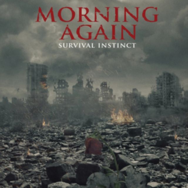 Morning Again