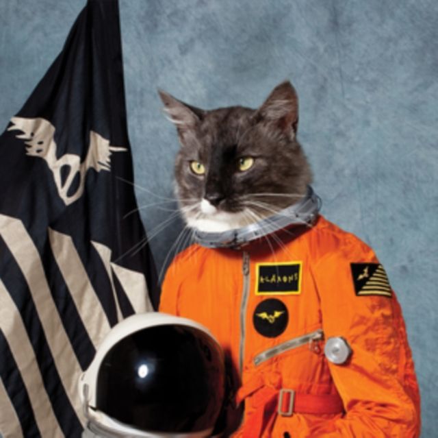 Klaxons