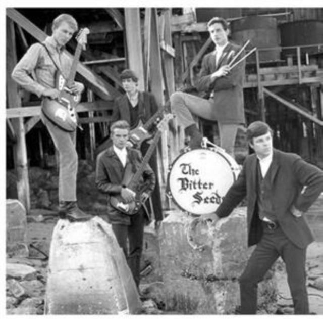 Bitter Seeds / Rock Shop