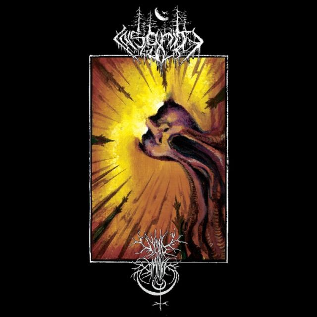 Void Omnia / Insanity Cult