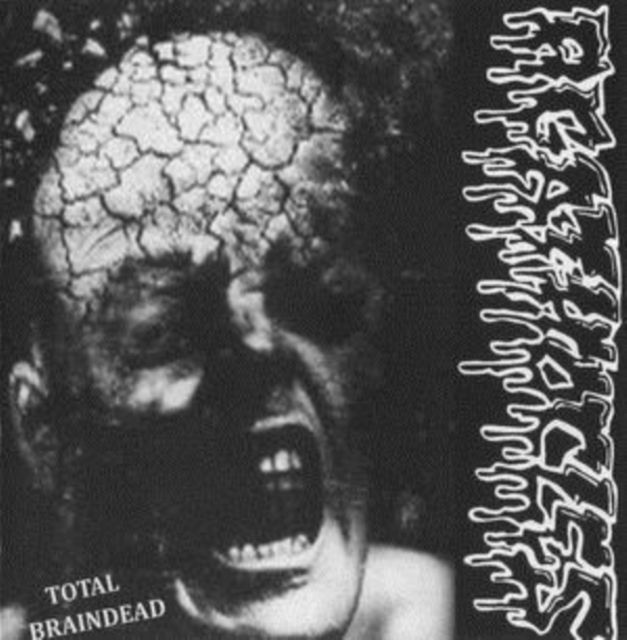Disorder / Agathocles