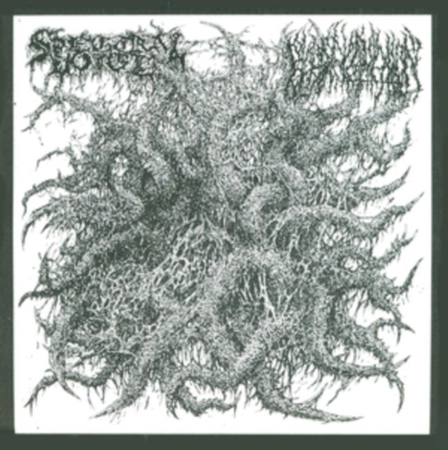 Spectral Voice / Blood Incantation