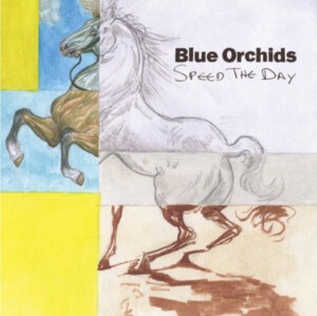 Blue Orchids