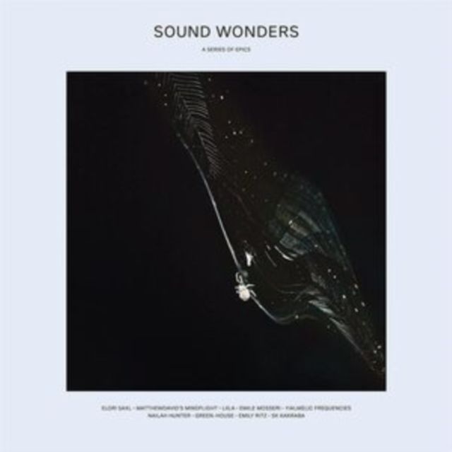 Various Artists