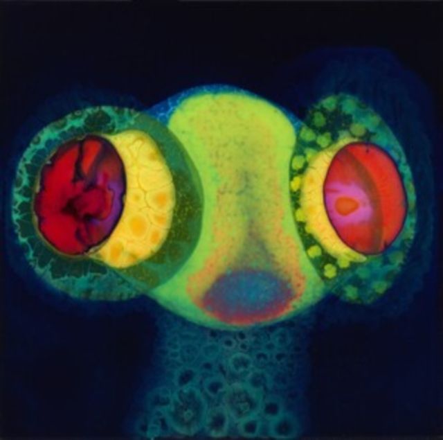 Osees