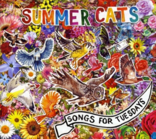 Summer Cats