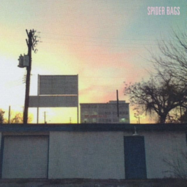 Spider Bags