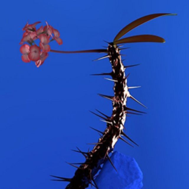 Flume