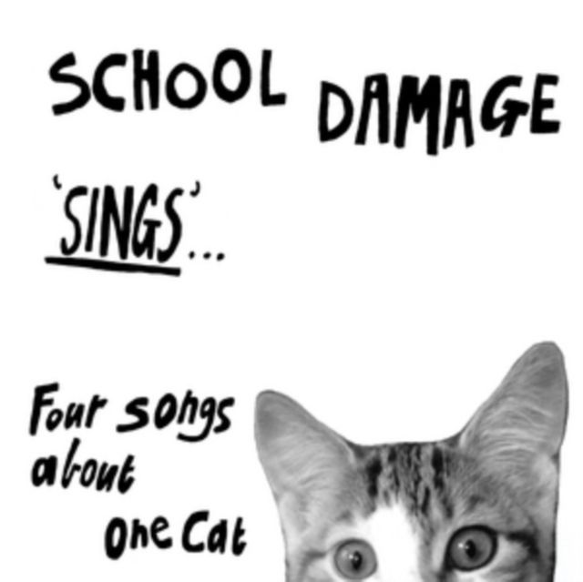 School Damage