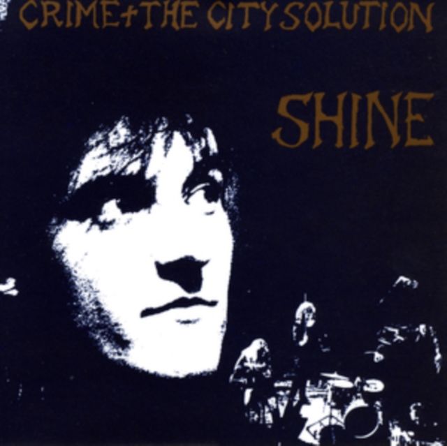 Crime & The City Solution