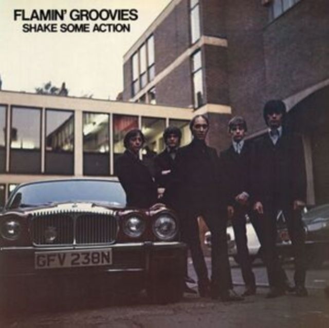 Flamin Groovies