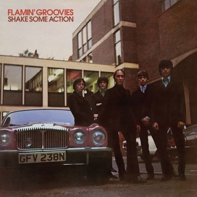Flamin Groovies