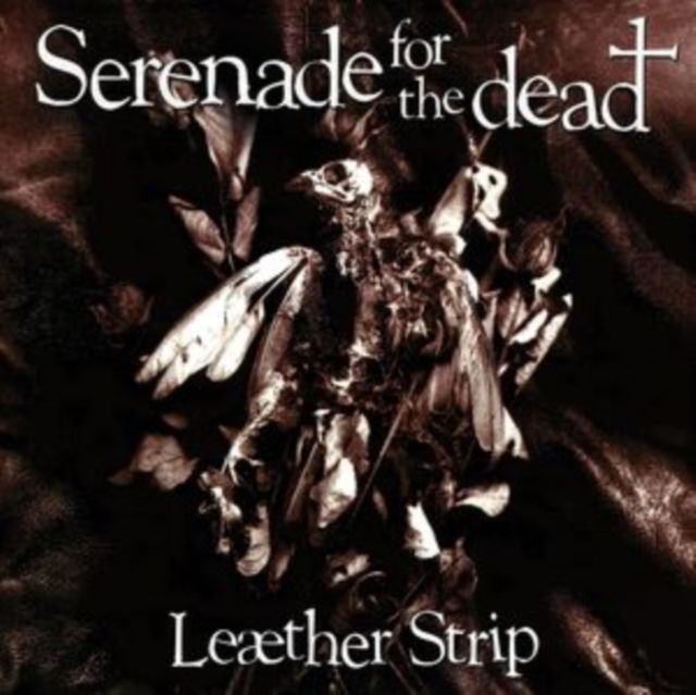 Leaether Strip