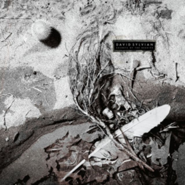 David Sylvian