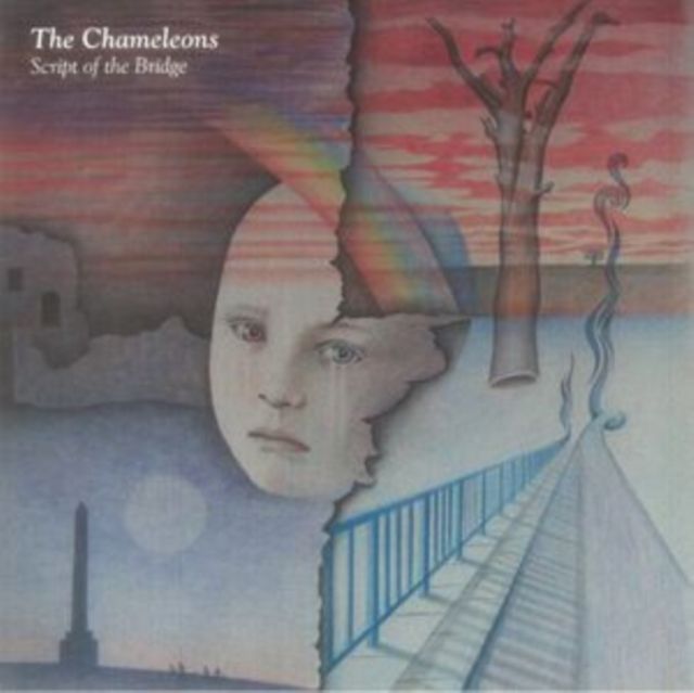 Chameleons
