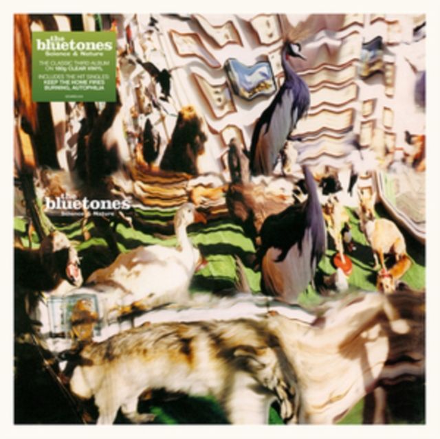 Bluetones