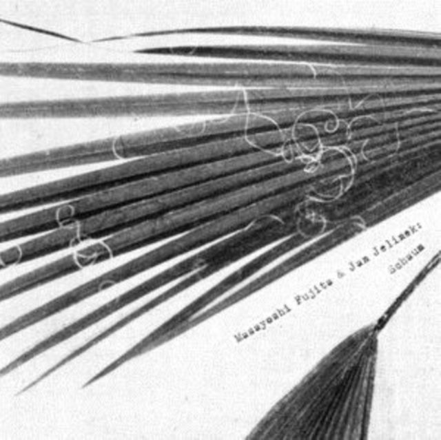 Masayoshi Fujita & Jan Jelinek
