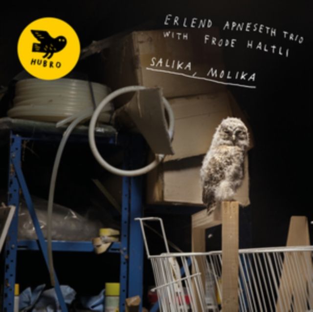 Erlend Apneseth Trio & Frode Haltli