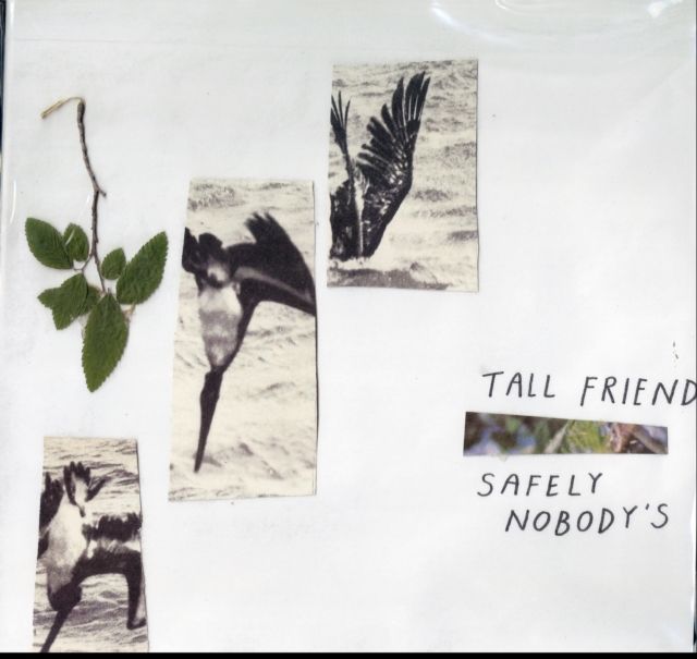Tall Friend