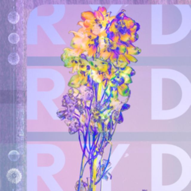 Ryd