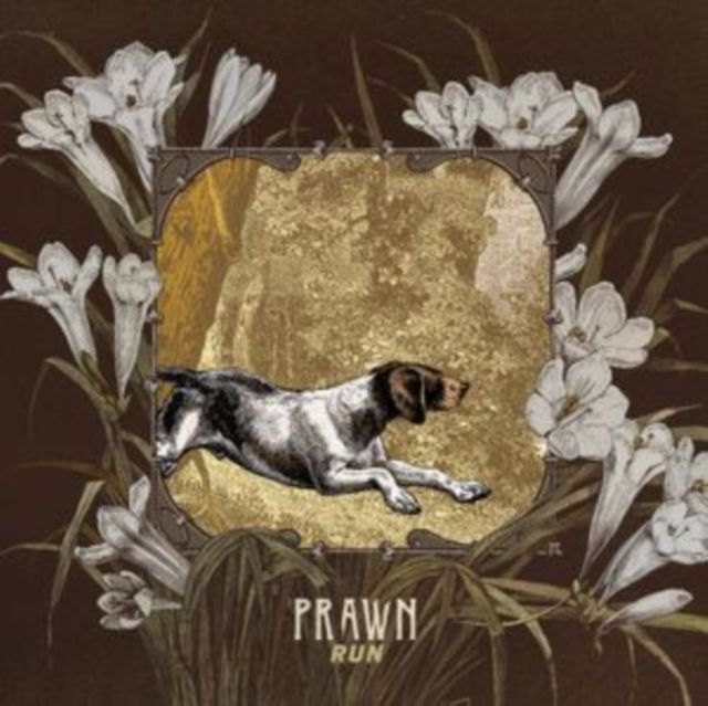 Prawn