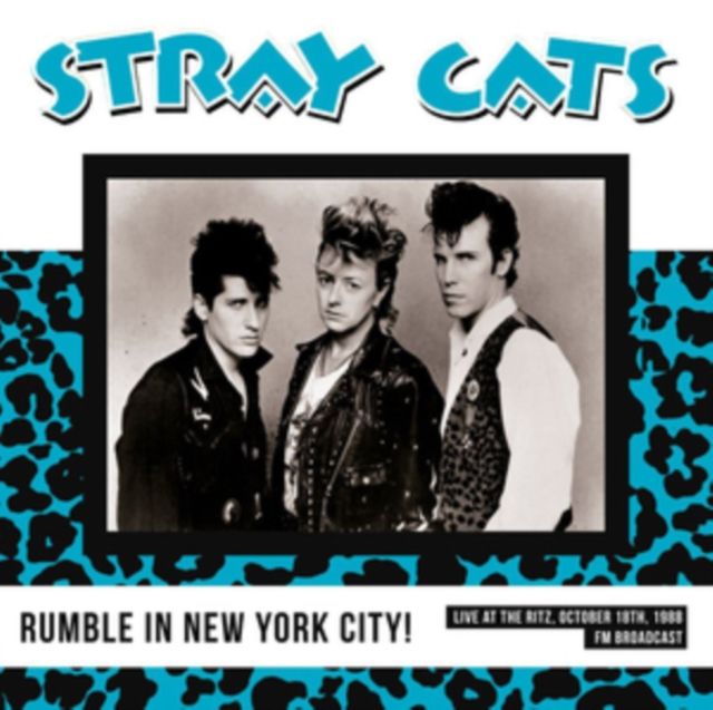 Stray Cats
