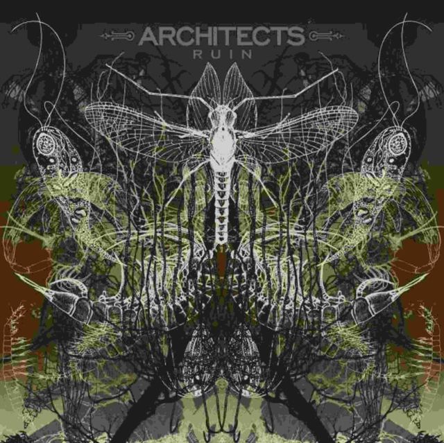 Architects