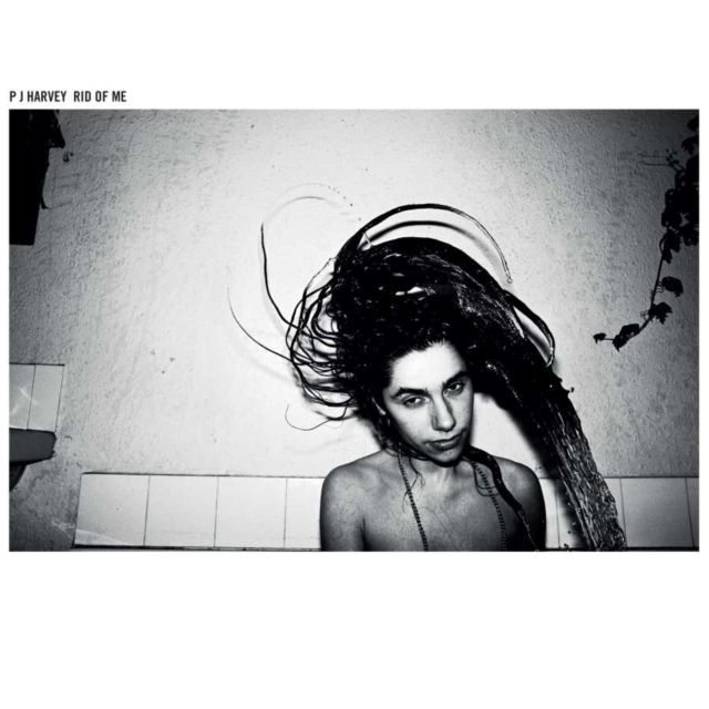 Pj Harvey
