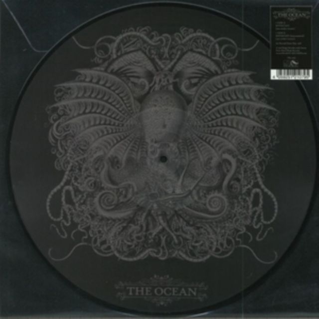 Ocean