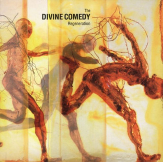 Divine Comedy
