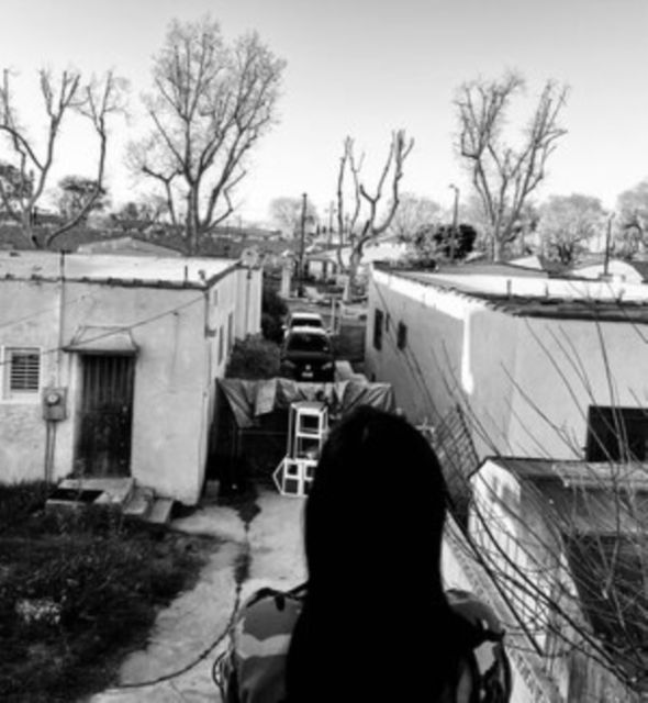 Generacion Suicida