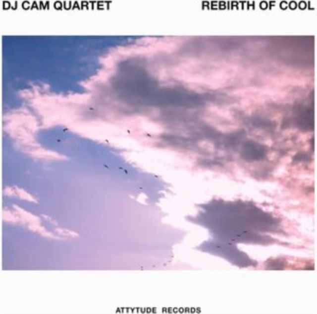 Dj Cam Quartet