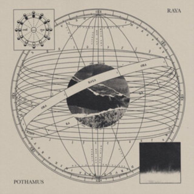 Pothamus