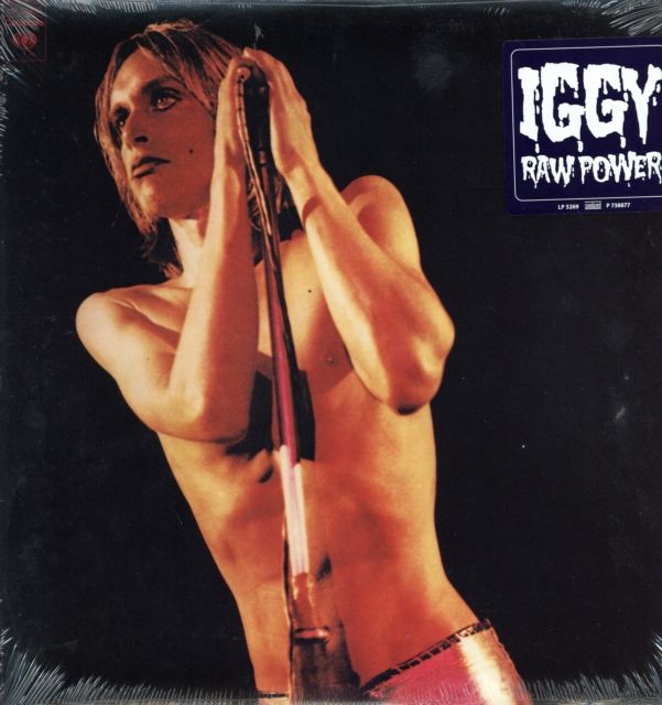 Iggy & The Stooges