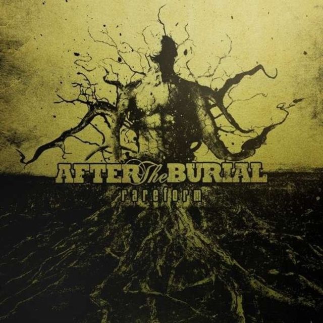 After The Burial