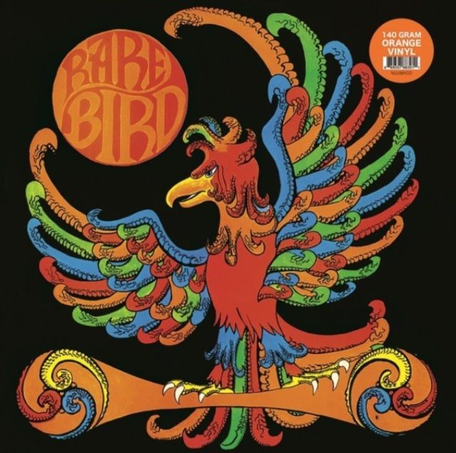 Rare Bird