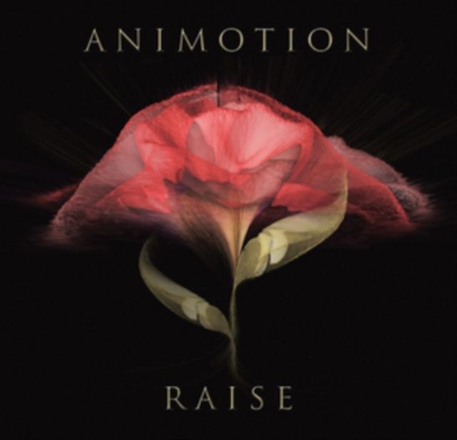 Animotion